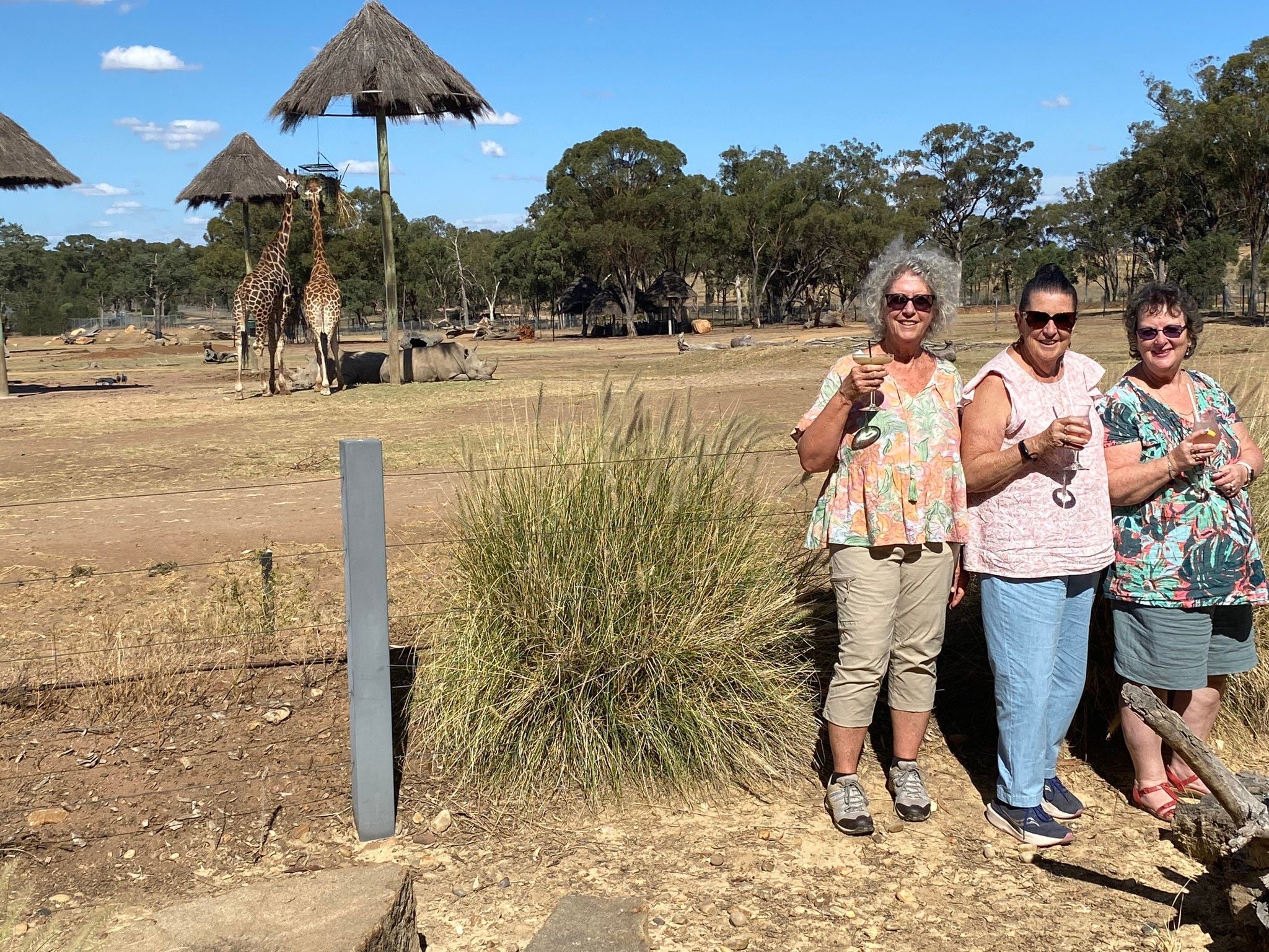 Dubbo Zoo 2025 Image -67de04868bba5